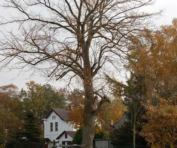 Zum Sonnenuntergang *